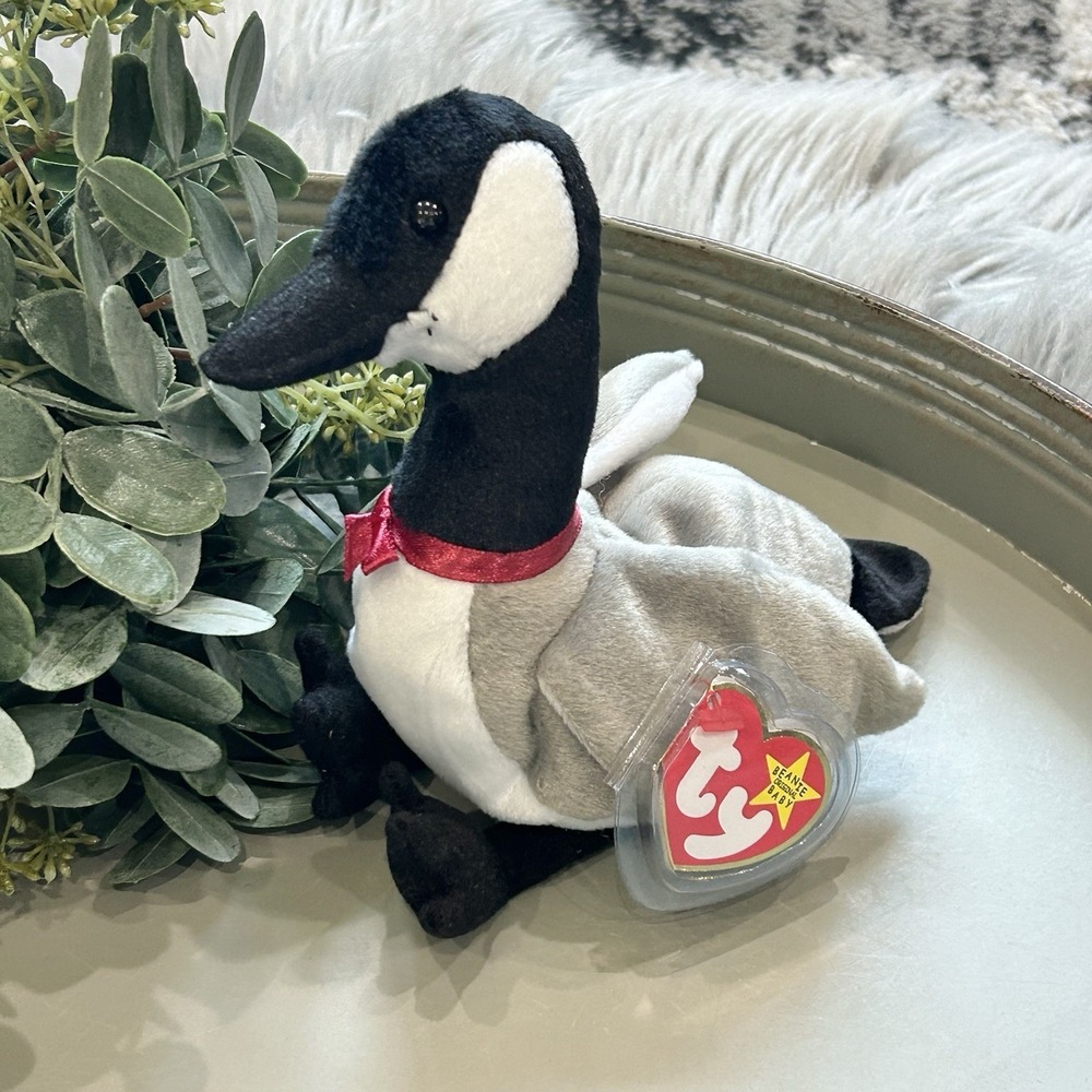 TY Beanie Baby Loosy the Canadian Goose 1998 RETIRED NWT Mint Plush Toy